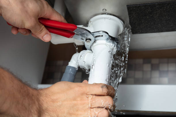 Best Local water damage restoration  in Pleasant View, UT
