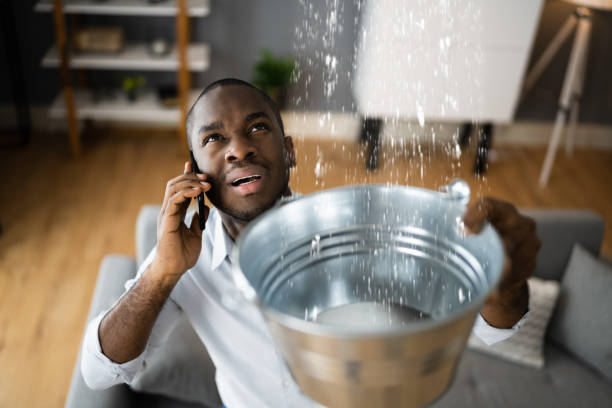 Best Emergency water damage restoration  in Pleasant View, UT