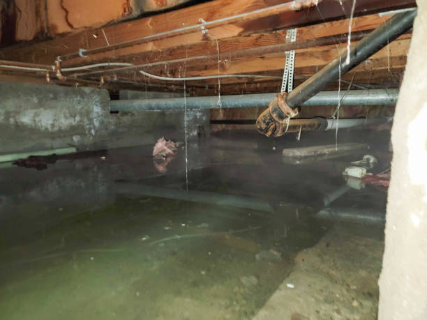 Best Fire Damage Restoration  in Pleasant View, UT
