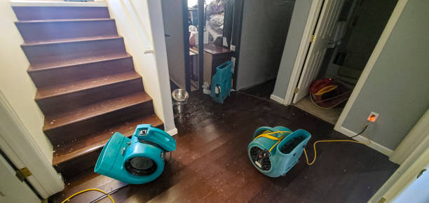 Local water damage restoration in UT
