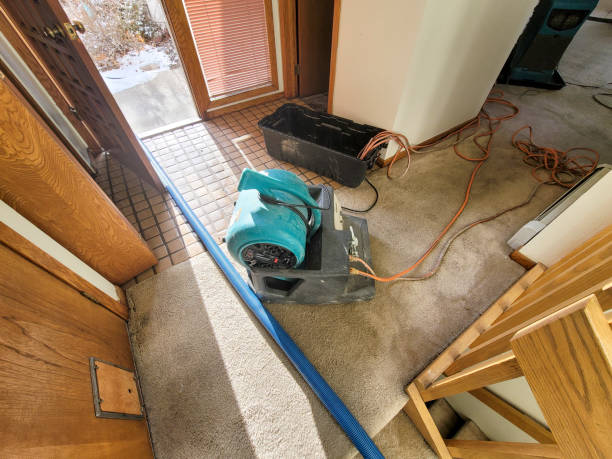 Best Local water damage restoration  in Pleasant View, UT