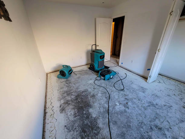 Best Sewage cleanup and water damage restoration  in Pleasant View, UT