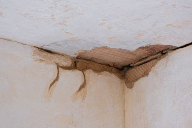 Best Flood damage cleanup  in Pleasant View, UT