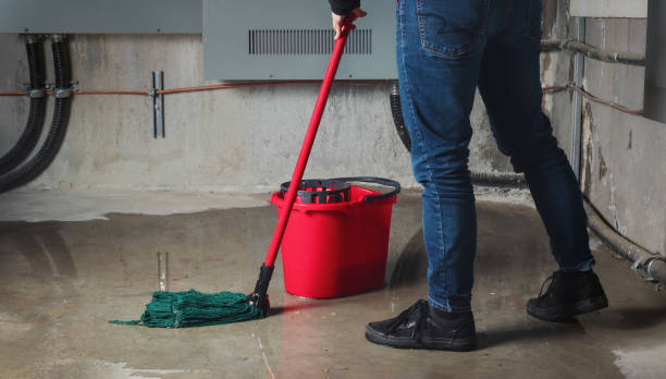 Best Flooded house restoration  in Pleasant View, UT