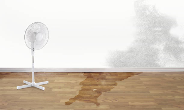 Best Water damage restoration cost  in Pleasant View, UT