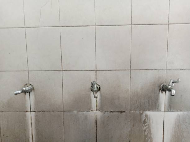 Best Mold removal after water damage  in Pleasant View, UT
