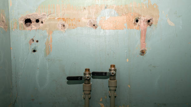 Best Water damage restoration near me  in Pleasant View, UT