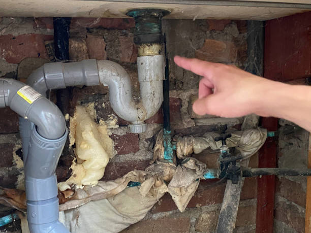 Best Flooded house restoration  in Pleasant View, UT