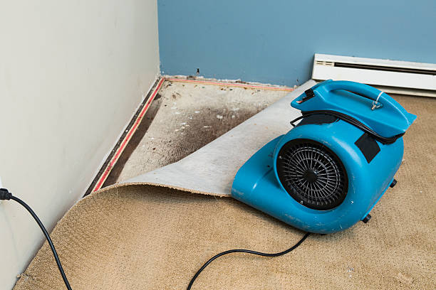 Best Residential water damage restoration  in Pleasant View, UT